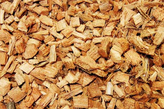 coco-chips.jpg