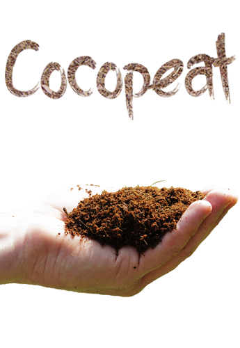 hand coir